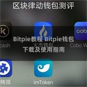 Bitpie教程 Bitpie钱包下载及使用指南