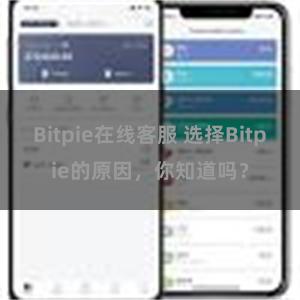 Bitpie在线客服 选择Bitpie的原因，你知道吗？