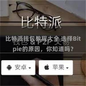 比特派钱包教程大全 选择Bitpie的原因，你知道吗？