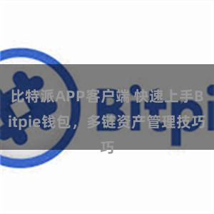 比特派APP客户端 快速上手Bitpie钱包，多链资产管理技巧