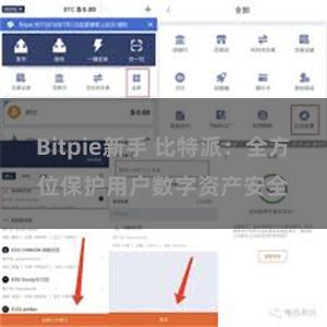 Bitpie新手 比特派：全方位保护用户数字资产安全