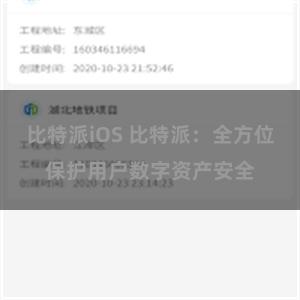 比特派iOS 比特派：全方位保护用户数字资产安全