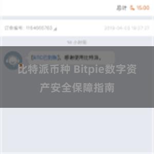 比特派币种 Bitpie数字资产安全保障指南