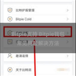 Bitpie支持 Bitpie钱包常见问题解决方法
