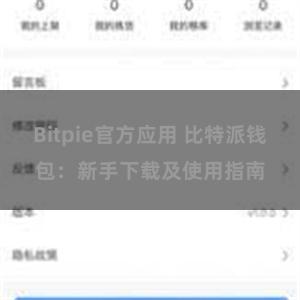 Bitpie官方应用 比特派钱包：新手下载及使用指南