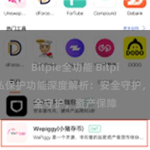 Bitpie全功能 Bitpie钱包隐私保护功能深度解析：安全守护，资产保障