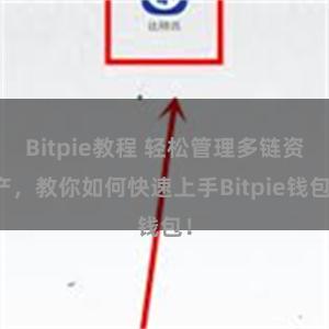 Bitpie教程 轻松管理多链资产，教你如何快速上手Bitpie钱包！