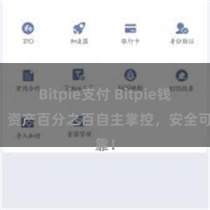 Bitpie支付 Bitpie钱包：资产百分之百自主掌控，安全可靠！