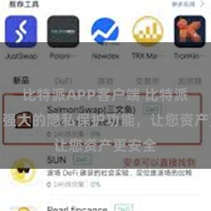 比特派APP客户端 比特派钱包：强大的隐私保护功能，让您资产更安全