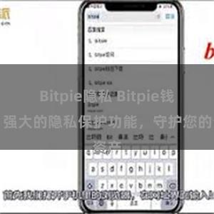 Bitpie隐私 Bitpie钱包：强大的隐私保护功能，守护您的资产