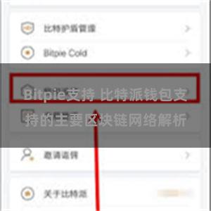 Bitpie支持 比特派钱包支持的主要区块链网络解析