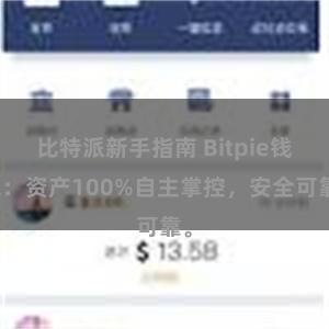 比特派新手指南 Bitpie钱包：资产100%自主掌控，安全可靠。