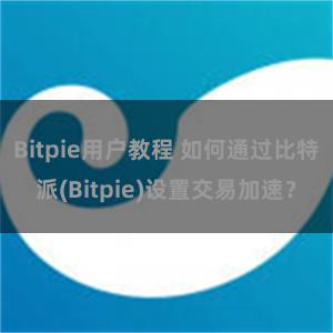 Bitpie用户教程 如何通过比特派(Bitpie)设置交易加速？