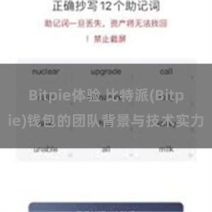 Bitpie体验 比特派(Bitpie)钱包的团队背景与技术实力