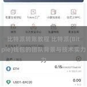 比特派转账教程 比特派(Bitpie)钱包的团队背景与技术实力