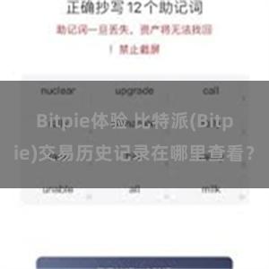 Bitpie体验 比特派(Bitpie)交易历史记录在哪里查看？