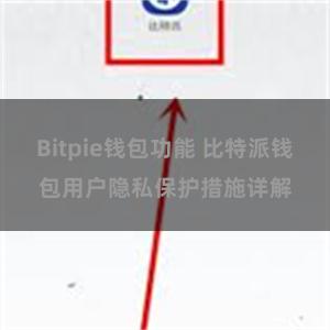 Bitpie钱包功能 比特派钱包用户隐私保护措施详解