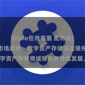 Bitpie在线客服 比特派(Bitpie)钱包市场趋势：数字资产存储领域领先者持续发展。