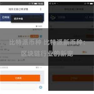 比特派币种 比特派新币种：区块链行业的新宠