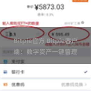 Bitpie官方 Bitpie客户端：数字资产一键管理