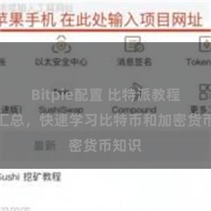 Bitpie配置 比特派教程地址汇总，快速学习比特币和加密货币知识