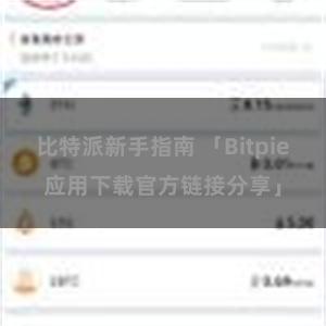 比特派新手指南 「Bitpie应用下载官方链接分享」