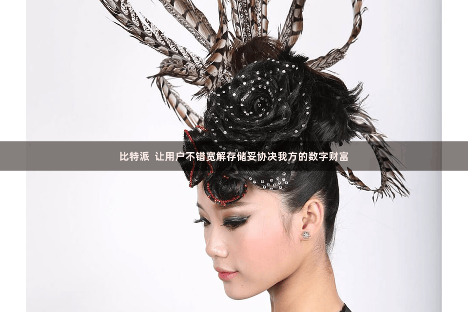 比特派 让用户不错宽解存储妥协决我方的数字财富