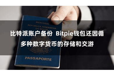 比特派账户备份  Bitpie钱包还因循多种数字货币的存储和交游