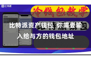 比特派资产钱包  你需要输入给与方的钱包地址